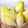 @grosseendive@mastodon.social avatar