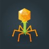 @differentiablepizza@mastodon.social avatar